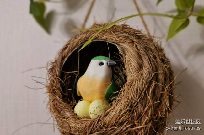 【色彩與光影的邂逅】靜物世界