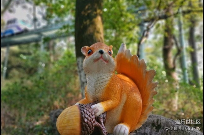 【色彩與光影的邂逅】靜物世界