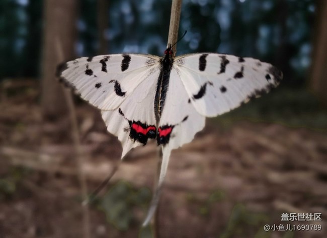 【色彩與光影的邂逅】靜物世界