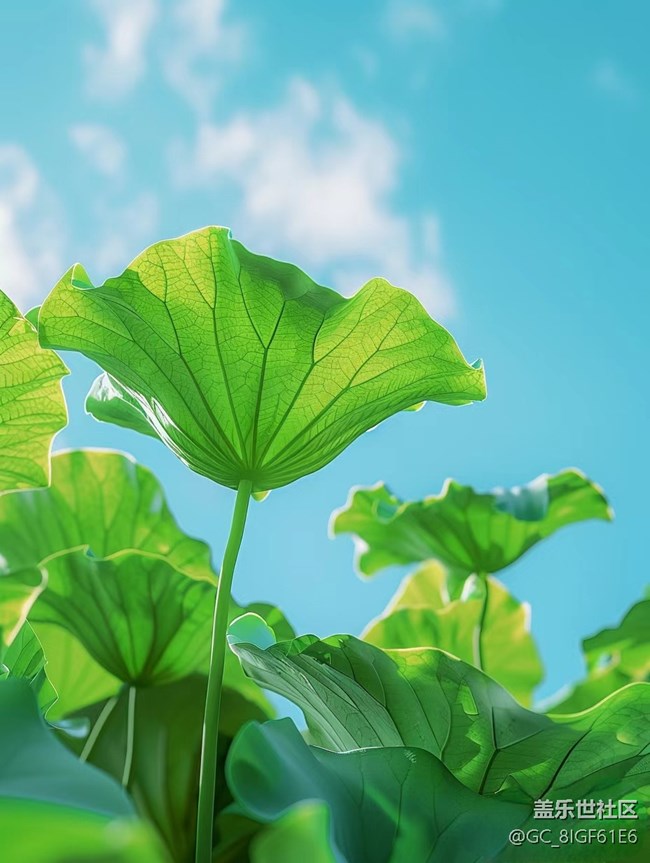 【夏日主題】清涼