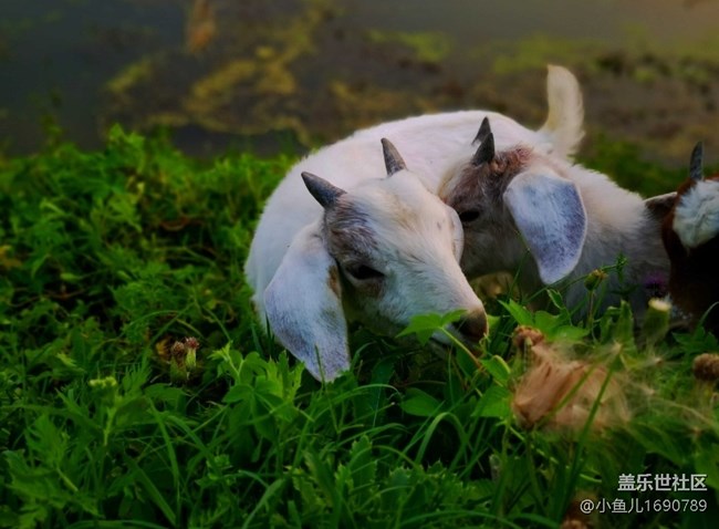 【色彩與光影的邂逅】靜物世界