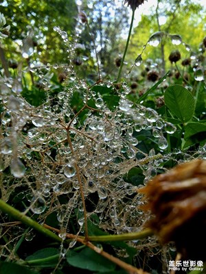 【光影色彩】+ 夏日隨拍