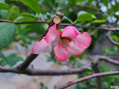 【光影色彩】生活隨拍