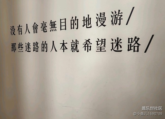 【色彩與光影的邂逅】人生格言