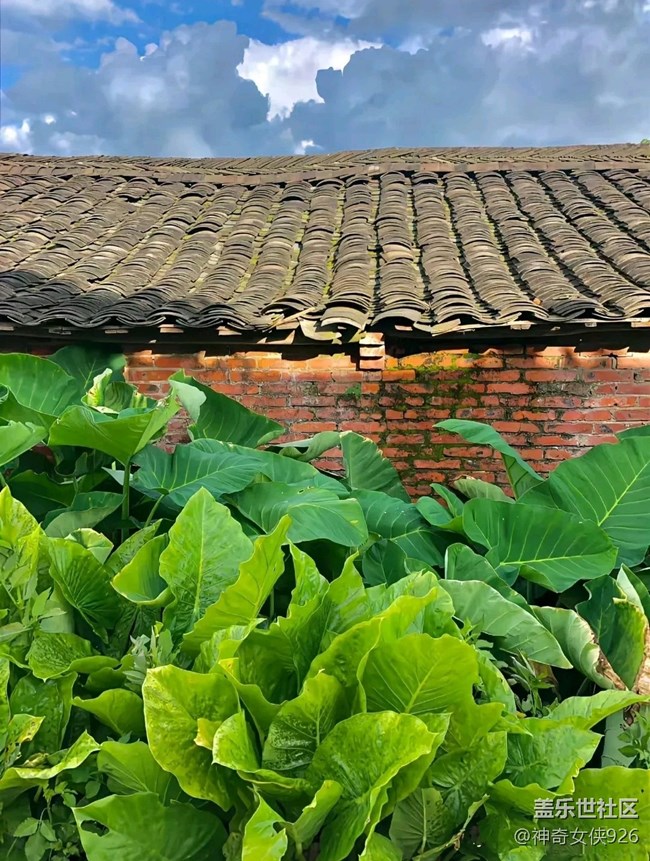 【色彩與光影的邂逅】家鄉(xiāng)的味道