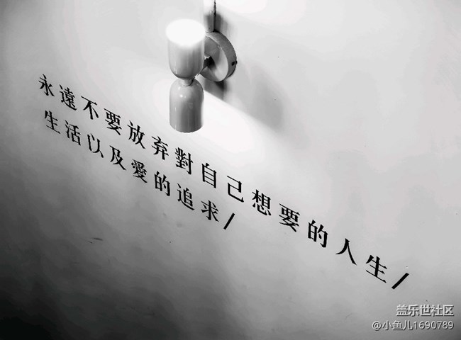 【色彩與光影的邂逅】人生格言