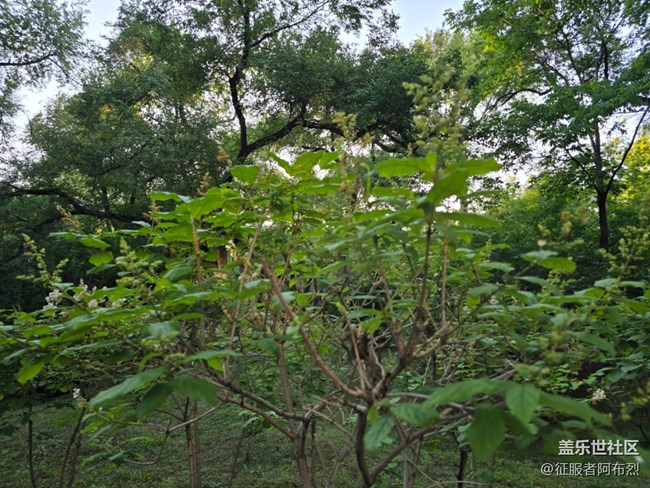 6月于labor park與你相遇