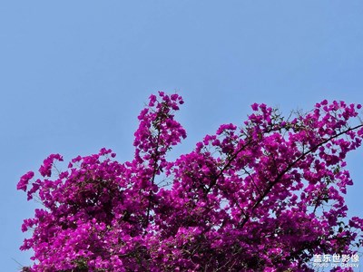 【光影色彩】+光影的瞬間