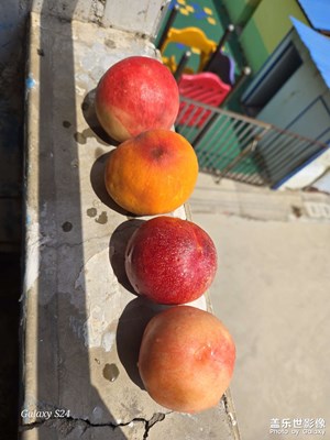 【光影色彩】同樣的光影不同的色彩