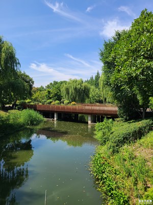 【光影色彩】晴朗夏日