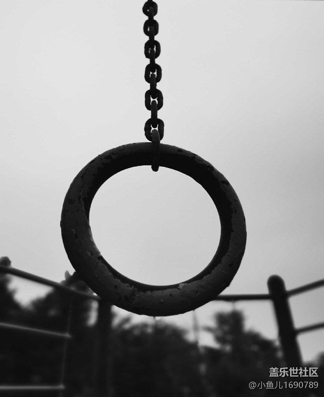 【色彩與光影的邂逅】光影的魅力