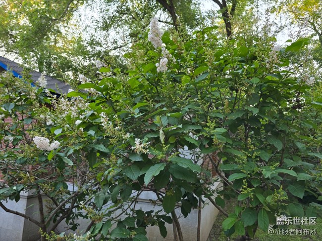 6月于labor park與你相遇