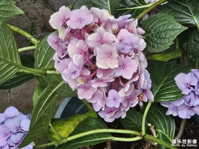 【光影色彩】+日常生活