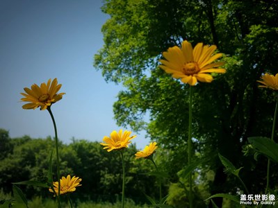 【光影色彩】+夏日
