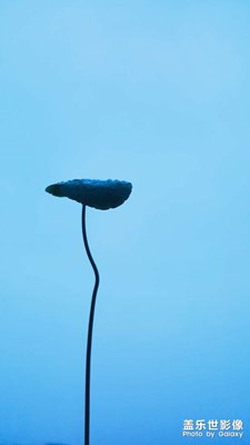 [嘉攝]一些很久以前的照片