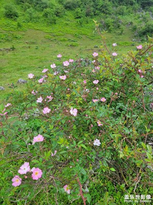 【光影色彩】+ 隨拍