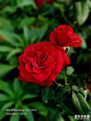 三星S23U人像模式直拍