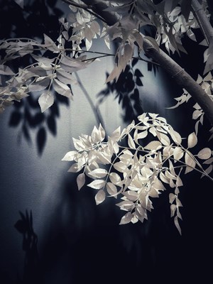 【光影色彩】+暗影