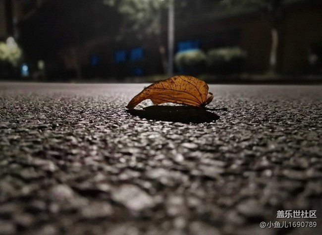 【色彩與光影的邂逅】光影的魅力