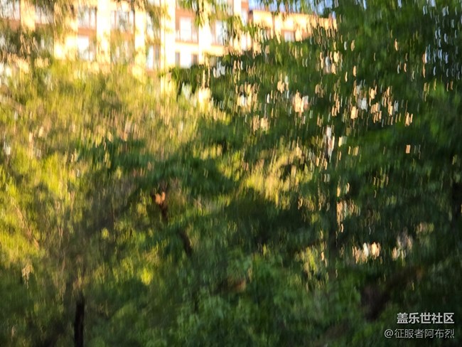 6月于labor park與你相遇