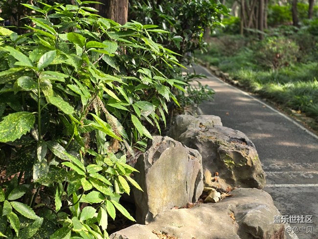 【色彩與光影的邂逅】+小路