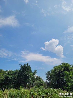 【夏至】美景如詩如畫