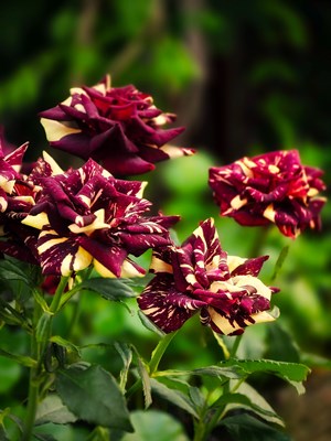 【夏至】+ citywalk