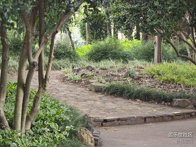 【色彩與光影的邂逅】+小路