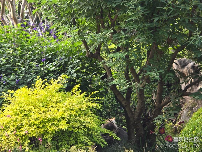 #今夏，當(dāng)下——綠化