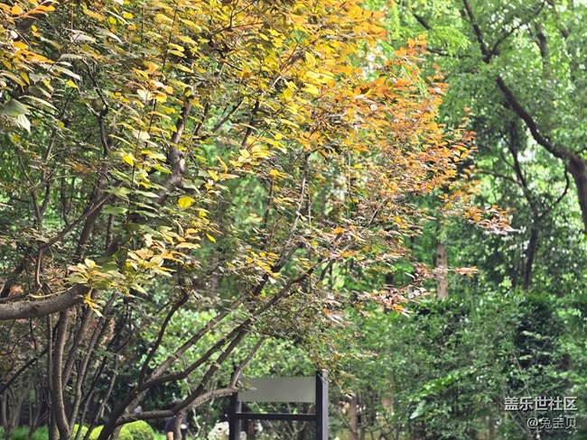 【色彩與光影的邂逅】+小路