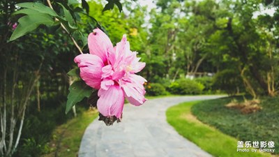 [嘉攝]以前的以前