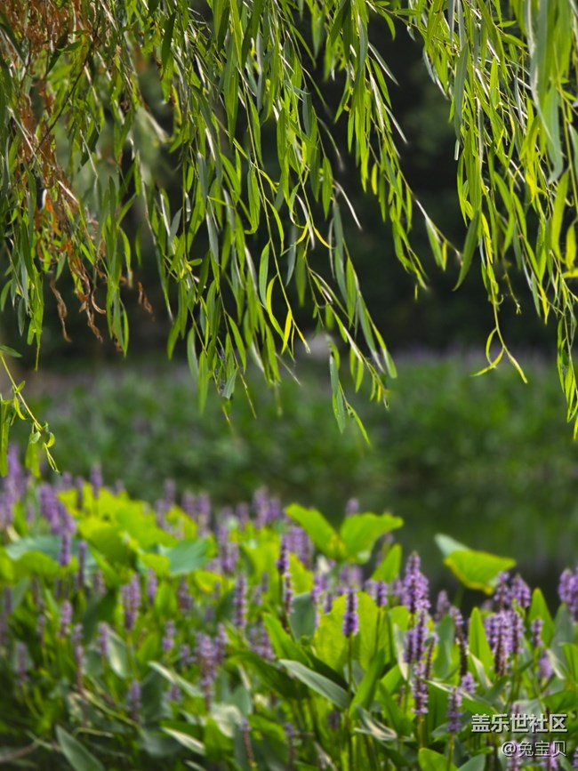 【色彩與光影的邂逅】+小路