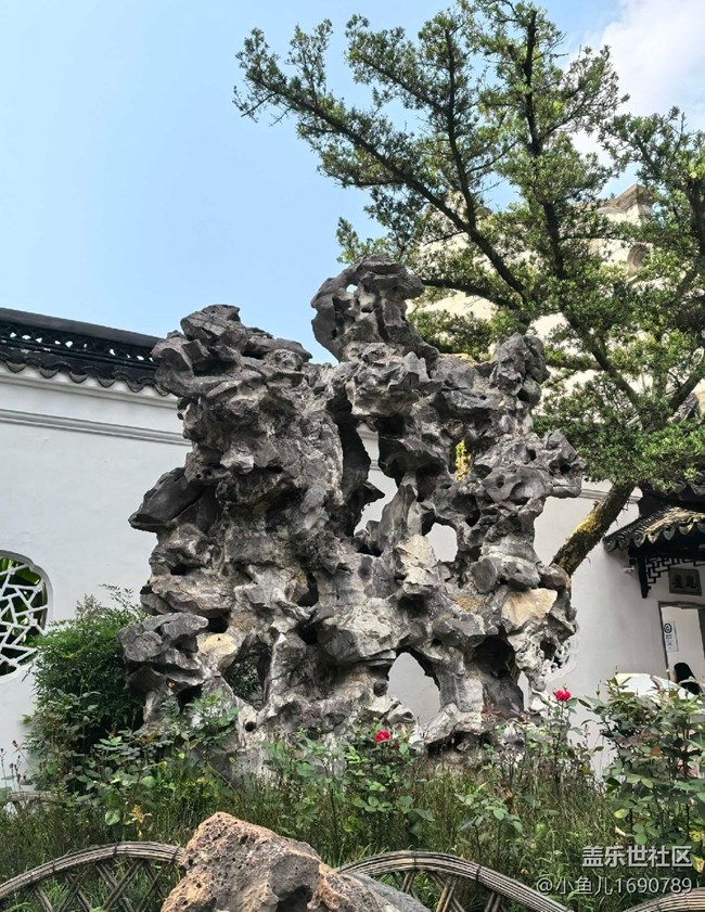 【色彩與光影的邂逅】竹林廳院