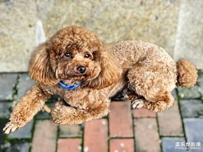 【夏至】+ 夏至傾心