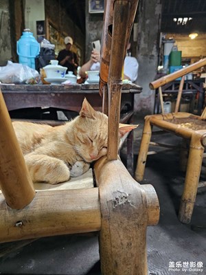 老茶館
