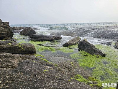 [夏至]夏至隨想