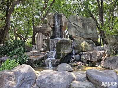 【夏至】盛夏將至