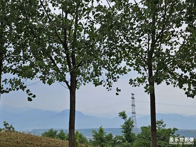 【夏至】+ 夏天山林