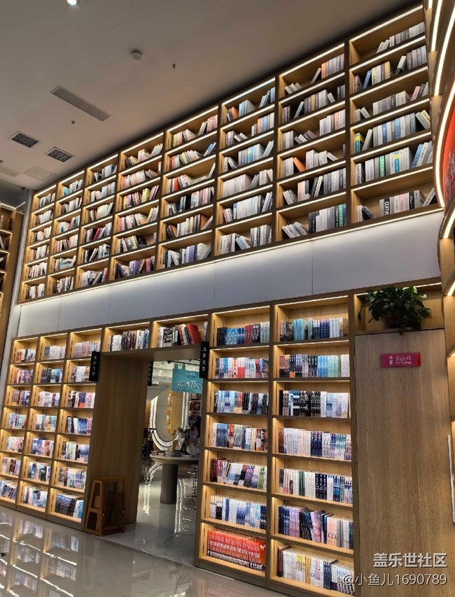 【色彩與光影的邂逅】書店