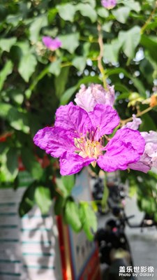 【夏至】+室內(nèi)室外