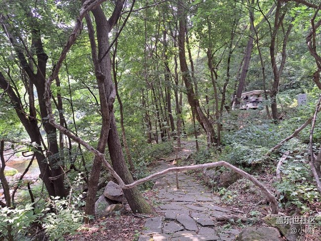 【夏日贊歌】山林