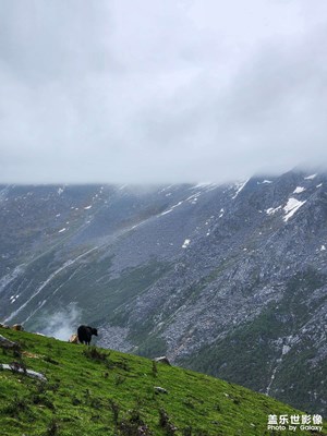 【夏至】+ 奧太娜雪山