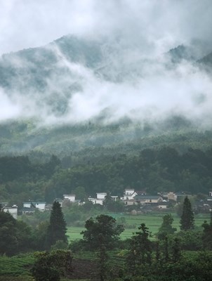 （夏至）+煙雨到皖南
