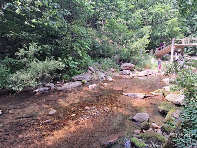 【夏日贊歌】山林