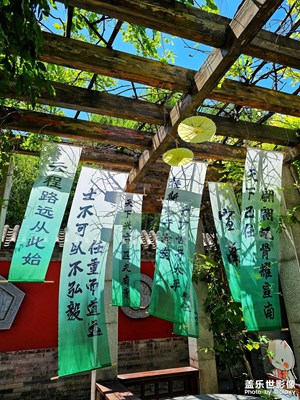 【夏至】+夏至已至 