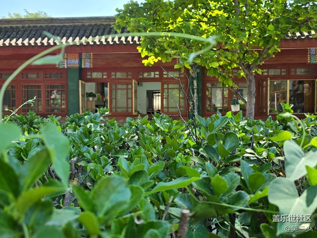 #今夏，當(dāng)下——city隨拍