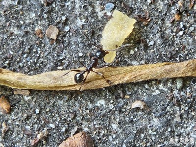 【夏至】+?生命