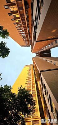 【夏至】+ 向日葵與河畔