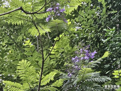 【夏至】+夏天的美好