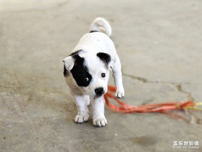 【夏至】+?菜場里的小可愛